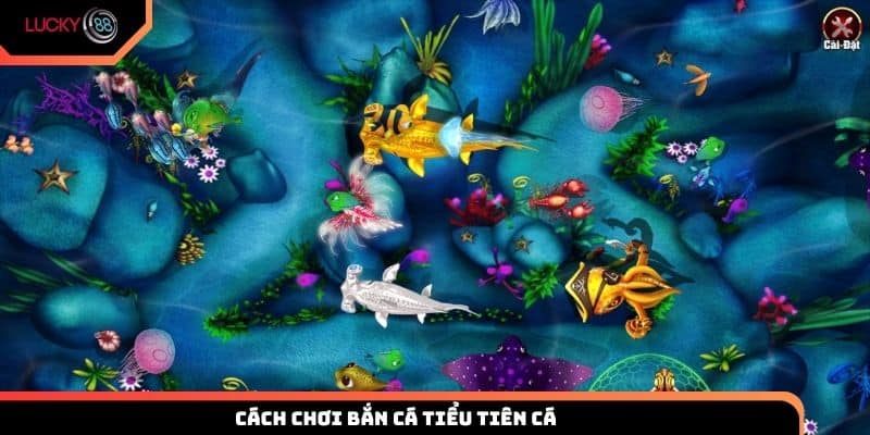 Hướng dẫn cách chơi bắn cá Tiểu Tiên cho người mới