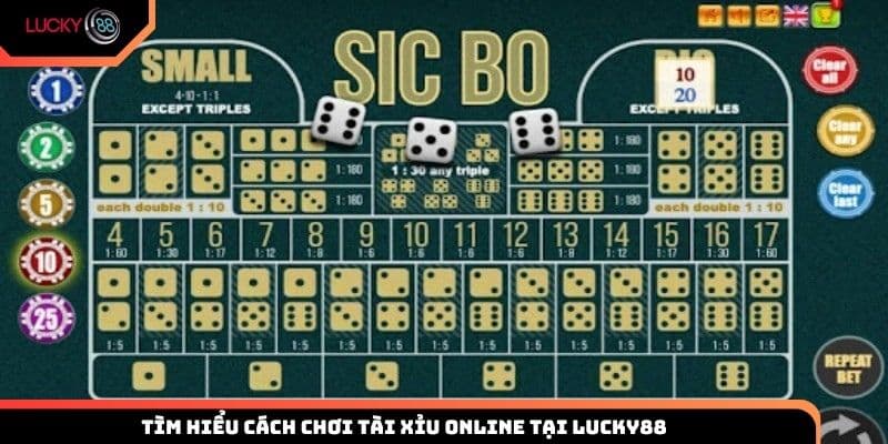 Tìm hiểu cách chơi cơ bản và luật đặt cược dễ hiểu trong Tài Xỉu